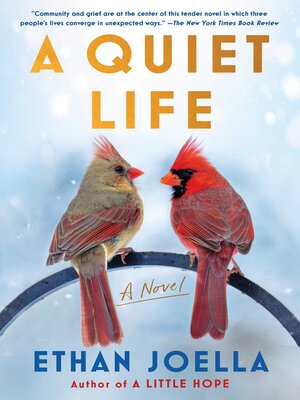 cover image of A Quiet Life: a Novel